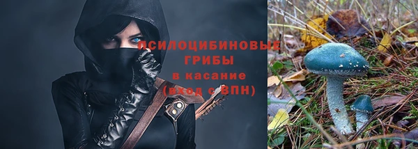 МДПВ Алексин