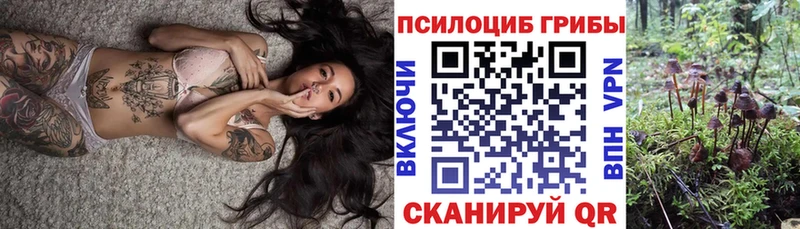 купить наркоту  Николаевск-на-Амуре  Галлюциногенные грибы ЛСД 
